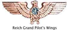 Wings of a Reich Grand Pilot